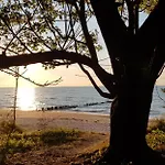 Sunshine